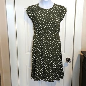 LOFT, cap sleeve, zippered back, dress. Size 6